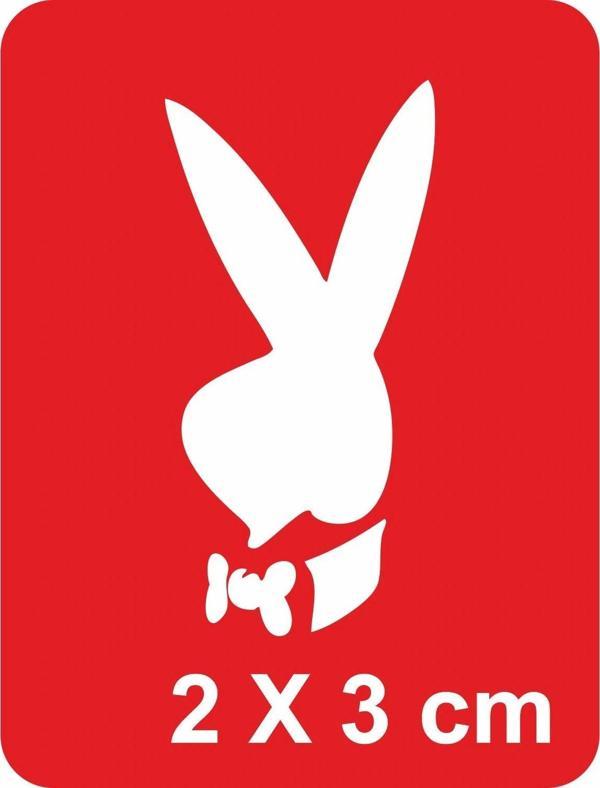 Aşk Tavşanı Playboy Tattoo Geçici Dövme Şablonları Kına Kalıpları - Image 1