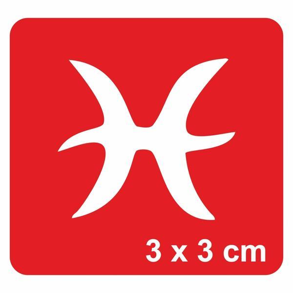 Balık Burcu Tattoo Geçici Dövme Şablonları Kına Kalıpları - Image 1