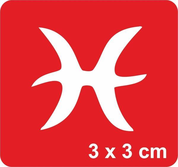 Balık Burcu Tattoo Geçici Dövme Şablonları Kına Kalıpları - Image 1