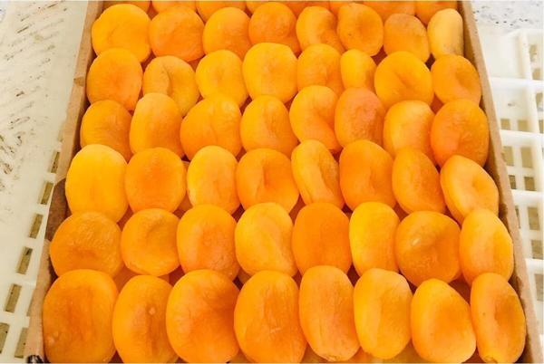 Toprakdan Organik Kayısı Kurusu 1 Kg - Image 1