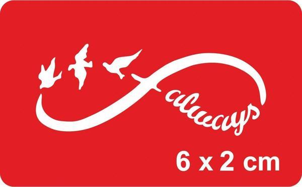 Sonsuz Kuşlar  Tattoo Geçici Dövme Şablonları Kına Kalıpları - Image 1