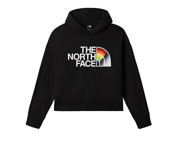 The North Face W   Pullover Hoodie Kadın Outdoor Sweatshirts NF0A7QCLJK31 Siyah - Image 1