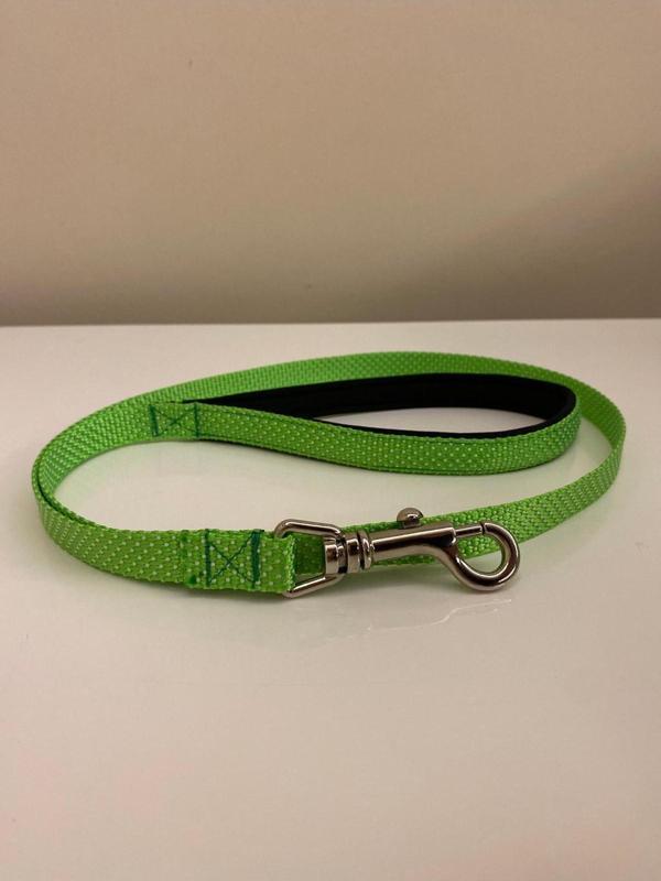 Renetic Köpek Gezdirme Kayışı Tasma - Image 1