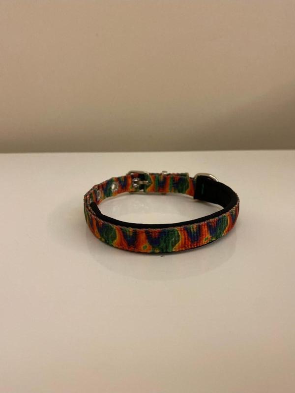 Renetic Renkli Desenli Köpek Tasması 2X50 Cm - Image 1