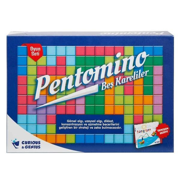 Kız Erkek Çocuk Oyuncak ZMK-2620 Pentomino Oyunu Kız Erkek Çocuk Eğitici - Image 1