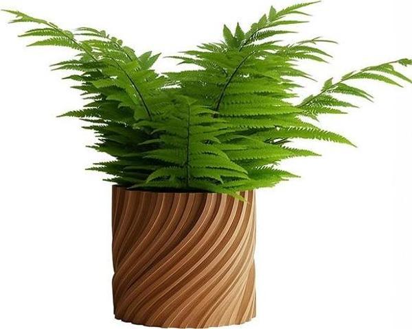 Natura Modern Dekoratif Saksı - Image 1