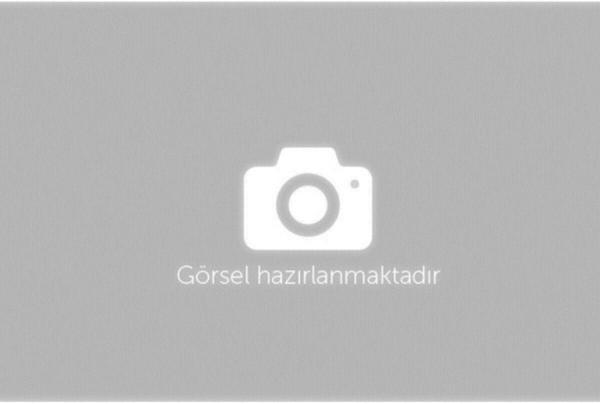 Falcon Şarj Aleti 48V 20Ah (Oranlı) - Image 1