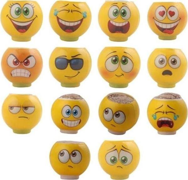 3321 KRAL ŞAKİR ÇİM ADAM KUTULU -1adet stokta olan gönderilir Kız Erkek Çocuk Oyuncak Eğitici Oyunca - Image 1