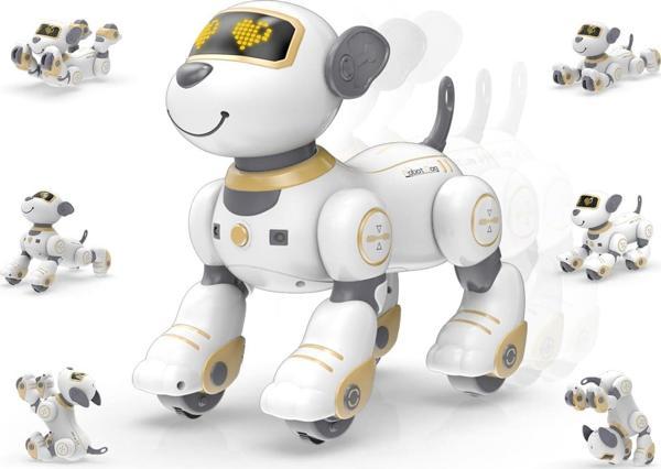 STEMTRON Programlanabilir Uzaktan Kumandalı Robot Köpek - Altın - Image 1