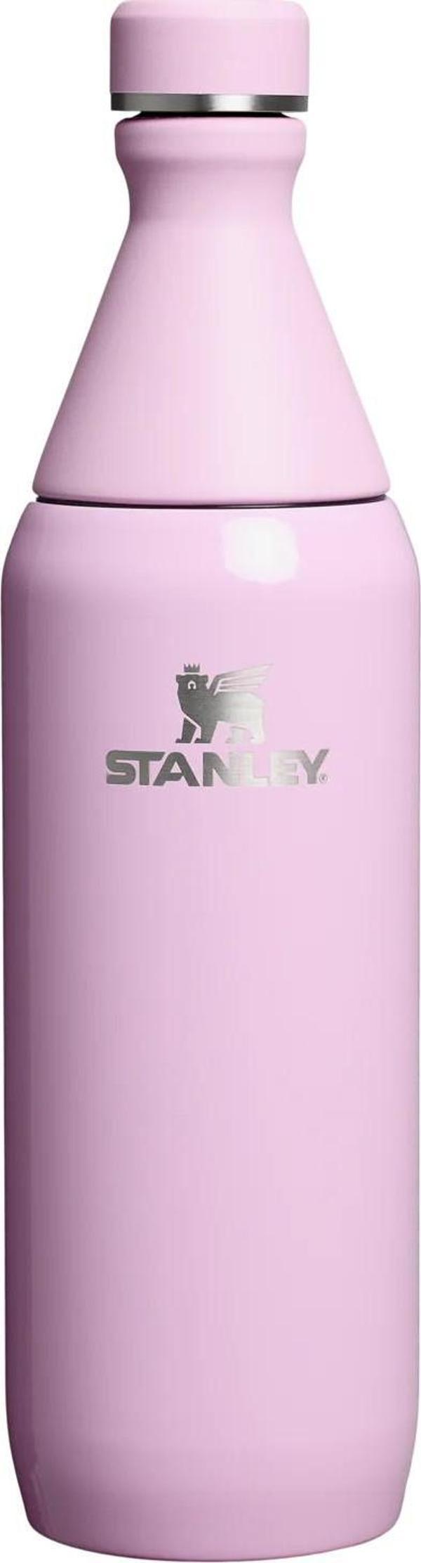 Stanley The All Day Slim Soğuk Su Şişesi 0,60 LT - Cherry Blossom - Image 1