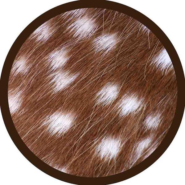 Yuvarlak Halı Paspas 90cm Süngerli Kaymaz Kilim Dijital Baskı Ev Paspası Kaydırmaz Taban Yeni Sezon 0082 - Image 1