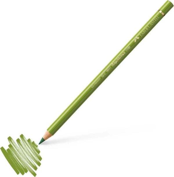 Supertrend Polychromos Artist Kuru Boya Kalemi 168 Earth Green Yellowish (Sarımsı Toprak Yeşili) - Image 1