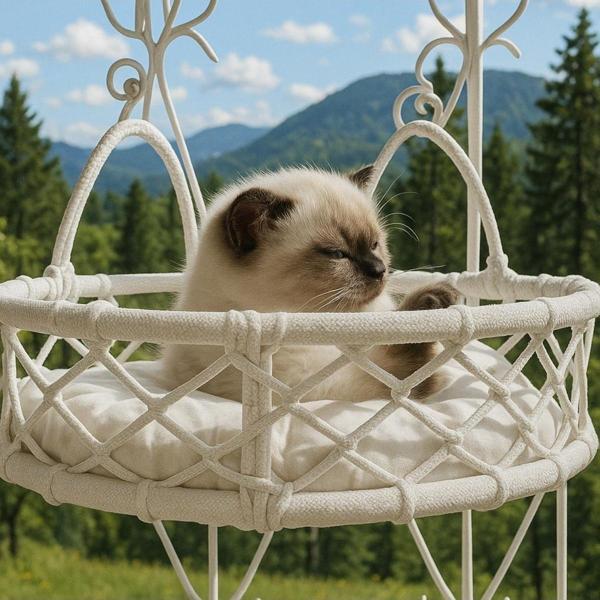 Cam Güzeli Kedi Köpek Yatağı - Image 1