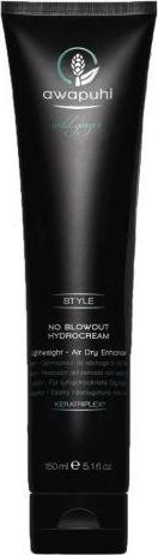 Paul Mitchell Awapuhi Wild Ginger No Blowout Hydrocream 150ml 009531128412 - Image 1