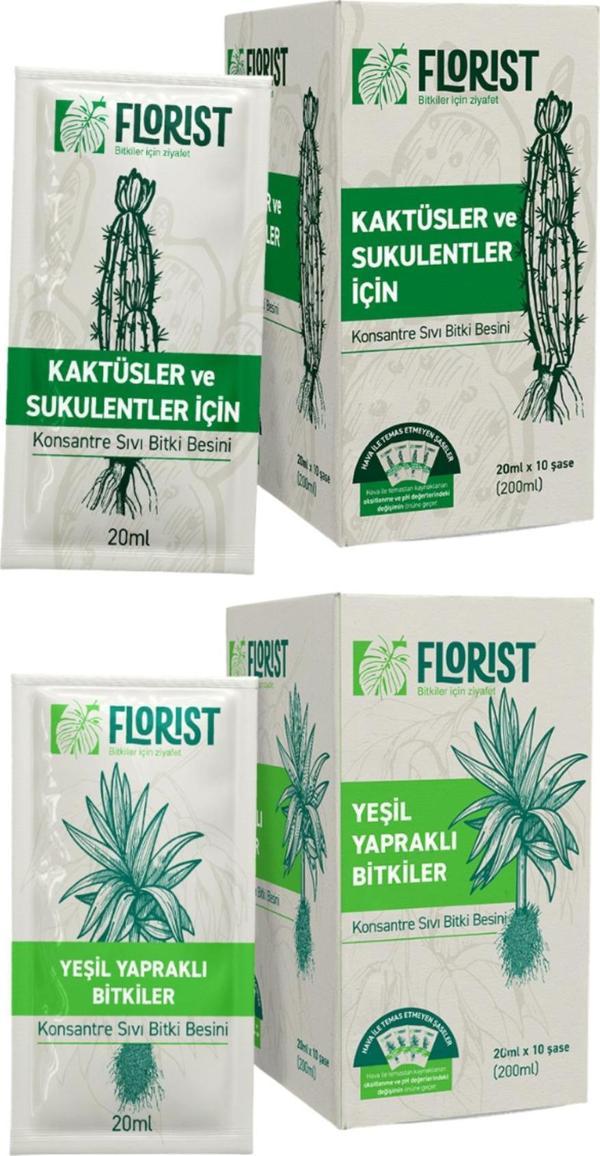 Florist Bitki Besini İkili Bitki Bakım Seti | Başlangıç Paketi Yeşil Yapraklı Bitkiler Ve Kaktüsler - Image 1