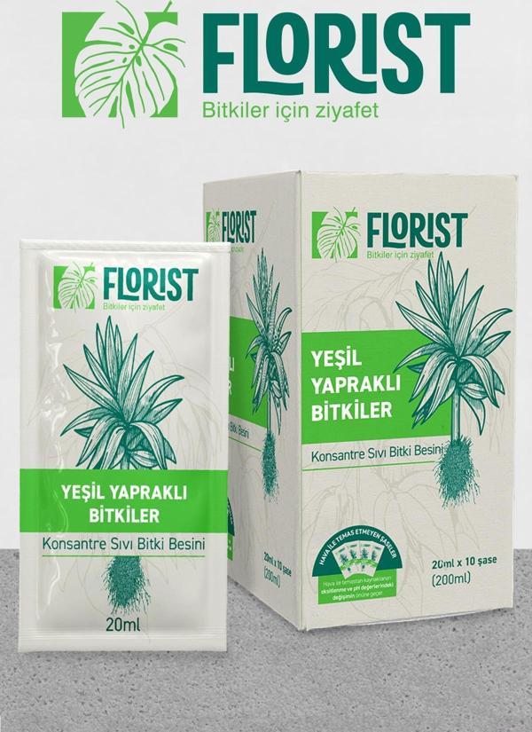 Florist Yeşil Yapraklı Bitkiler - Image 1