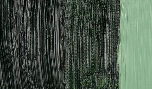 Maimeri Classico 60ml Yağlı Boya 358 Sap Green - Image 1