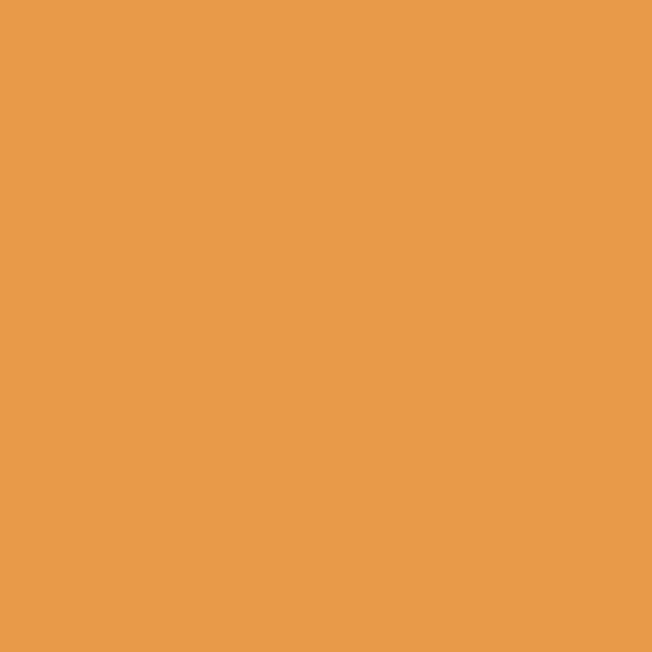 Koh-i-Noor Artist Pastel Boya Kalemi 8820/40 Cadmium Orange - Image 1