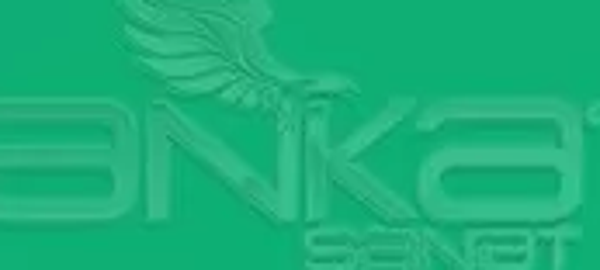 Faber Castell Art&Graphic Polychromos Artist Kuru Boya Kalemi 163 Emerald Green - Image 1
