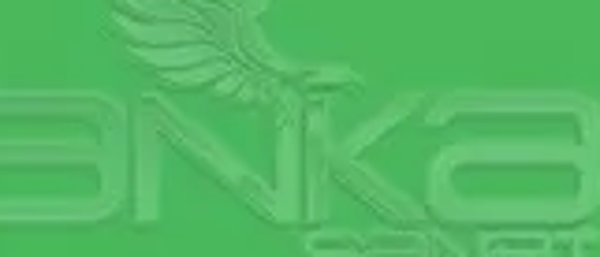 Faber Castell Art&Graphic Polychromos Artist Kuru Boya Kalemi 112 Leaf Green - Image 1