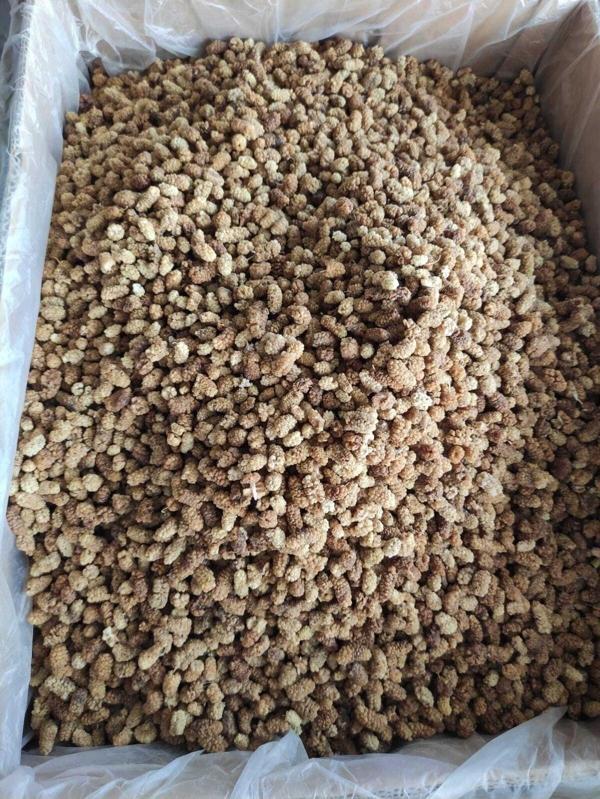 Zirve Erzincan Dut Kurusu Organic 1Kg Dogal - Image 1