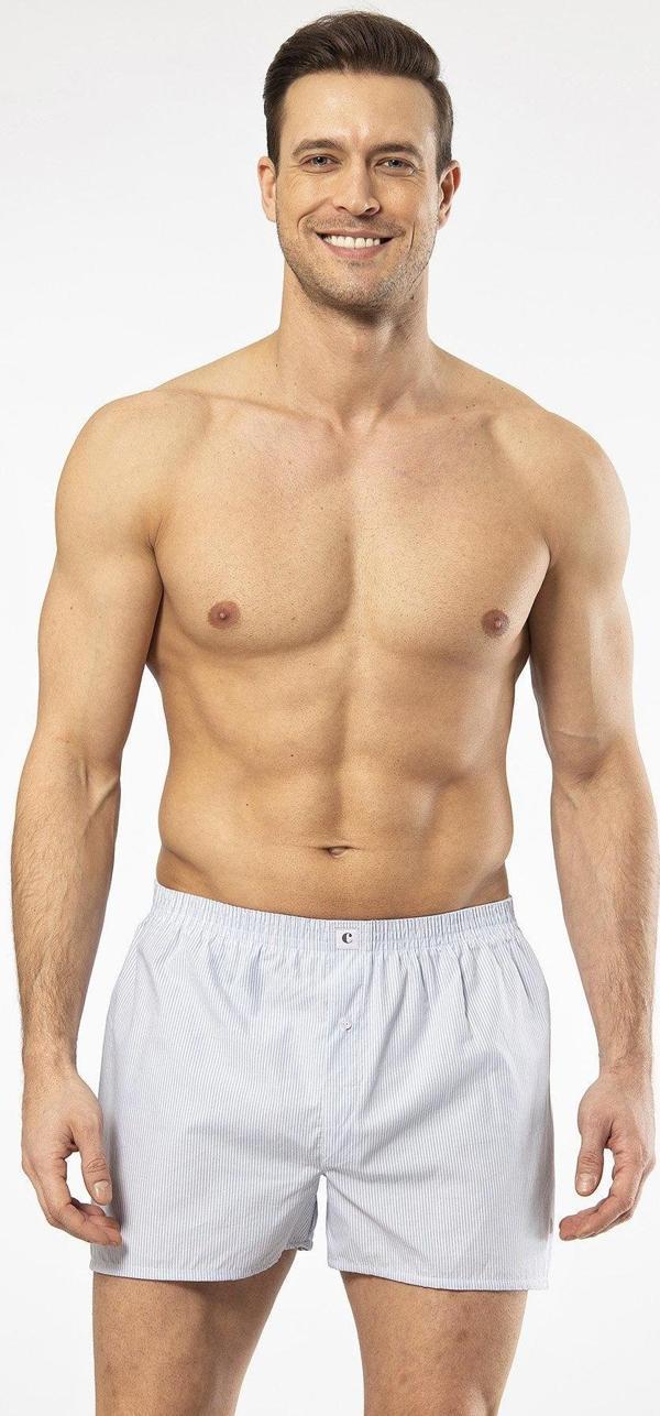 Türen POPLİN ERKEK BOXER 1113/ÇİZGİLİ AÇIK MAVİ - Image 1