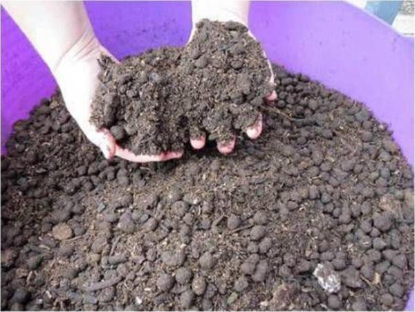 Demirsessound 2 Litre Organik Yanmış Koyun Gübresi Tamamen Doğal Gübre Katıksız - Image 1