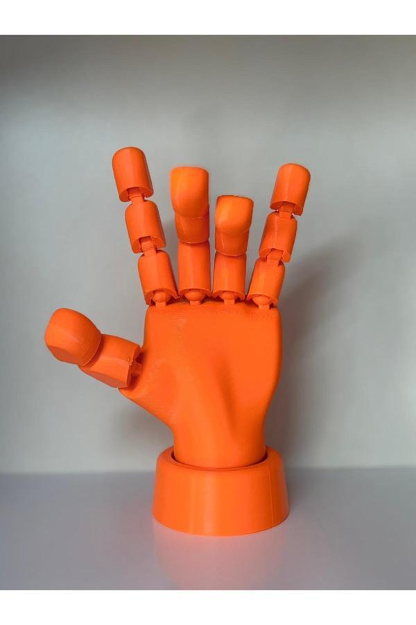 Ems 3D Baskı Hareketli El Modeli – Dekoratif & Eğitim Amaçlı - Image 1