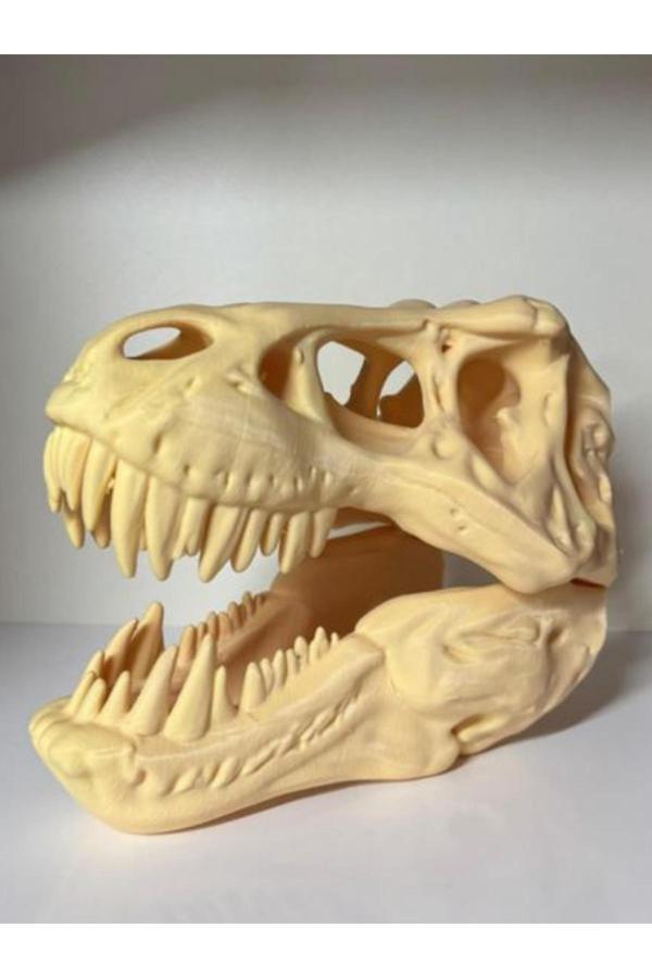 Ems T-Rex Dinozor Kafatası 3D Baskı Maket – Masaüstü Dekor Ve Koleksiyon Ürünü - Image 1