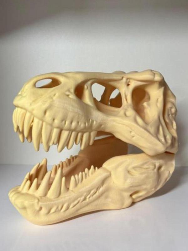 Ems T-Rex Dinozor Kafatası 3D Baskı Maket – Masaüstü Dekor Ve Koleksiyon Ürünü - Image 1