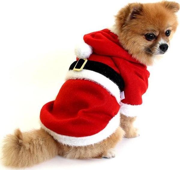 Noel Baba Çeket Orta Irk Köpeklere Uygun Polar XXLarge - Image 1