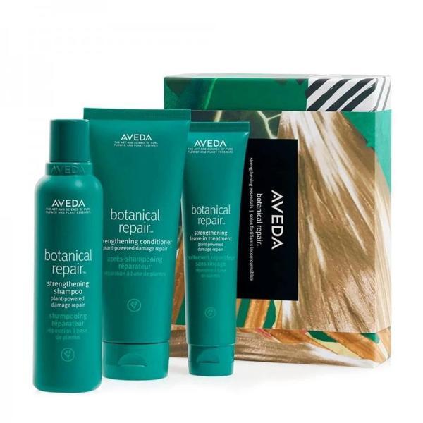 Aveda Botanical Repair Strengthening Essentials Set - Image 1