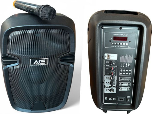 ACE AUDIO PAQ-10 120 WATT ŞARJLI AMFİ - Image 1