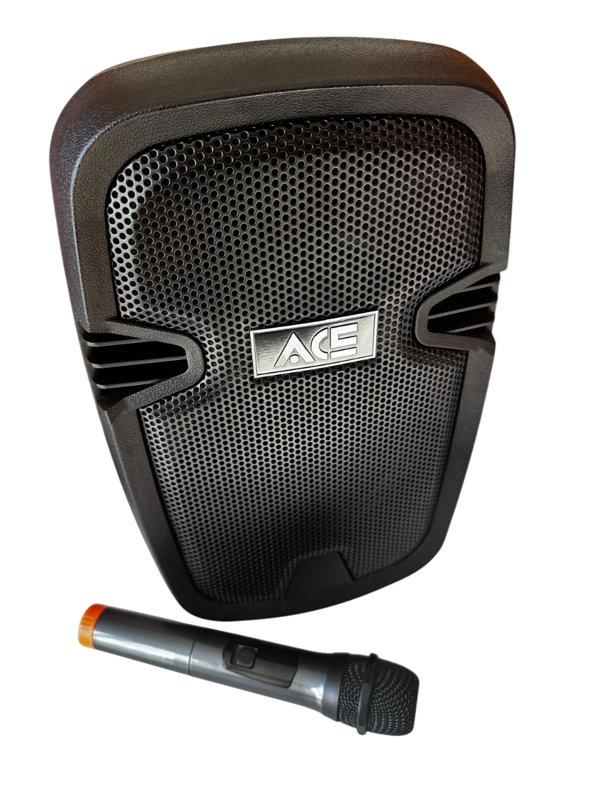 ACE AUDIO PAQ-8BL 100 WATT ŞARJLI AMFİ - Image 1