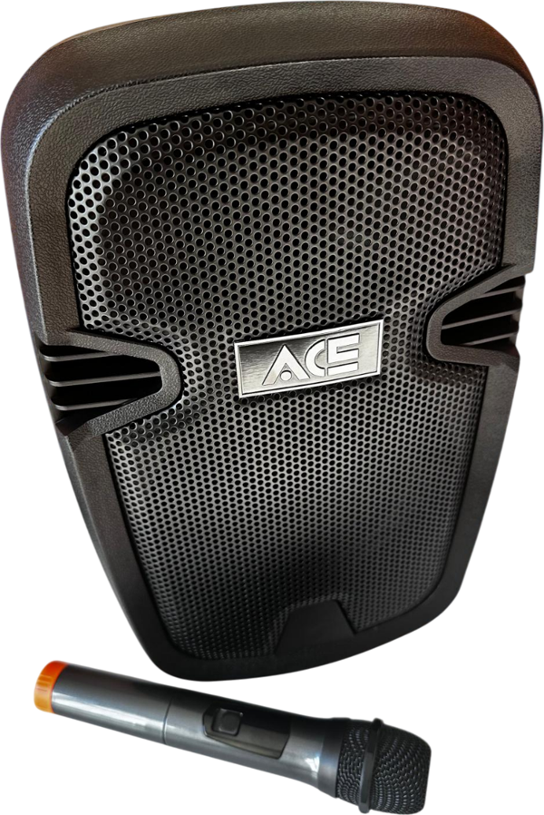 ACE AUDIO PAQ-8BL 100 WATT ŞARJLI AMFİ - Image 1