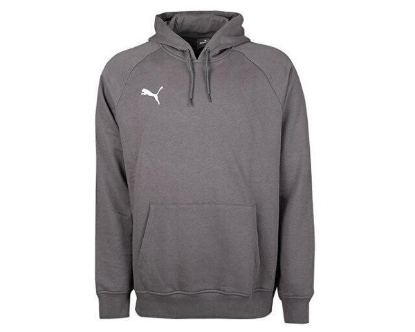 Puma Turkey Hoodie Türkiye Futbol Antrenman Sweatshirt 60546903 Gri - Image 1