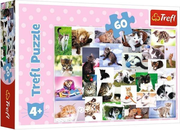 17332 Kedi Dünyası 60 Parça Puzzle -Trefl Puzzle - Image 1