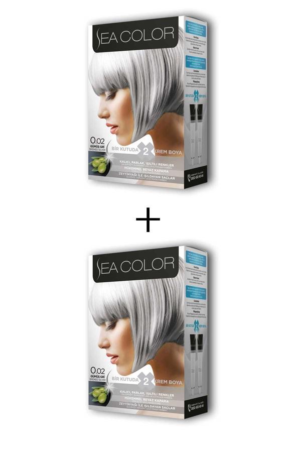 2X2 Tüp Krem Saç Boyası Seti Gümüş Gri No:0.02 - Image 1