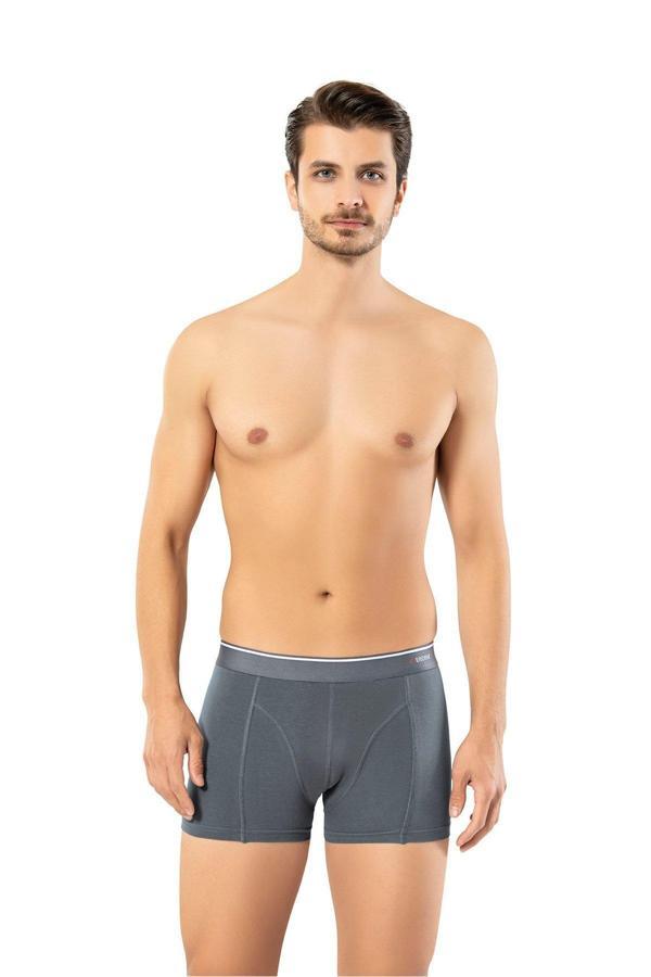 Erdem İç Giyim Füme Pamuk Elastan 2 Li Klasik Boxer 1445 - Image 1