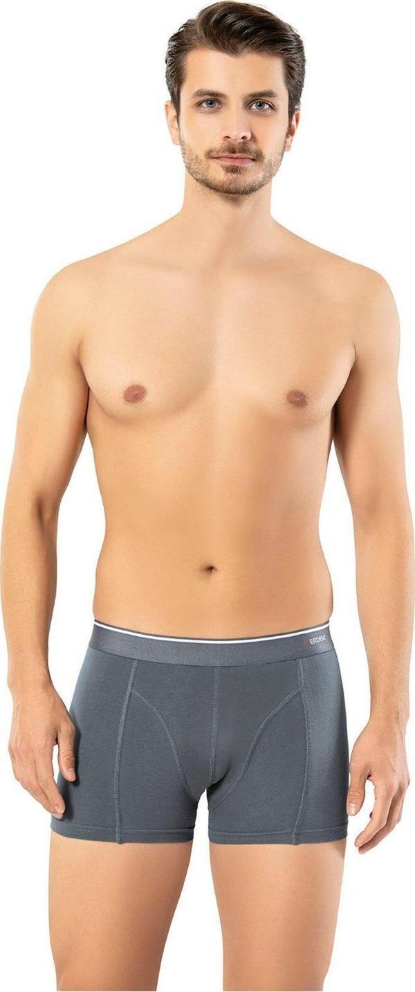Erdem İç Giyim Füme Pamuk Elastan 2 Li Klasik Boxer 1445 - Image 1