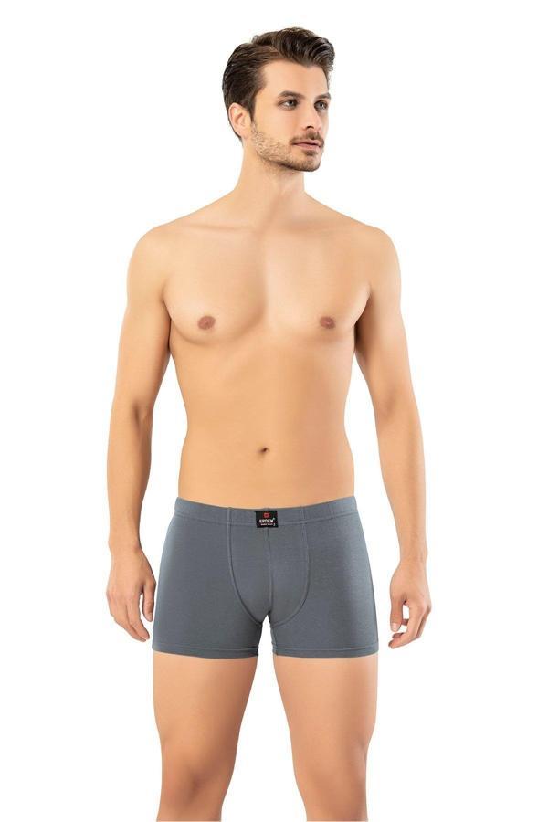 Erdem İç Giyim Füme Kısa Görünümlü Slim Fit Boxer 1420 - Image 1