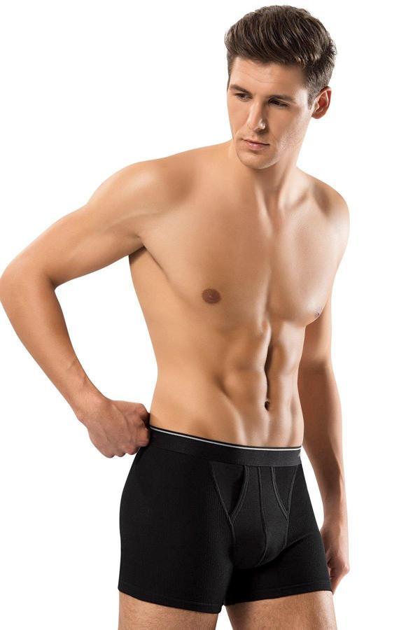 Erdem İç Giyim 1445 Pamuk Elastan Klasik Boxer 2 Adet - Image 1