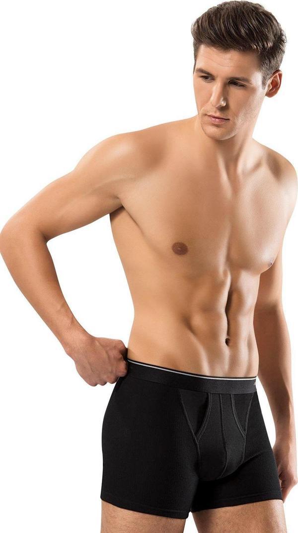Erdem İç Giyim 1445 Pamuk Elastan Klasik Boxer 2 Adet - Image 1