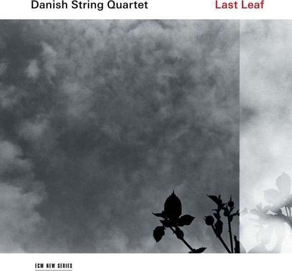 Danish String Quartet Last Leaf Plak - Image 1