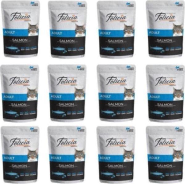 Felicia Pouch Tahılsız Somonlu Kedi Maması 85 Gr X 12 Adet - Image 1