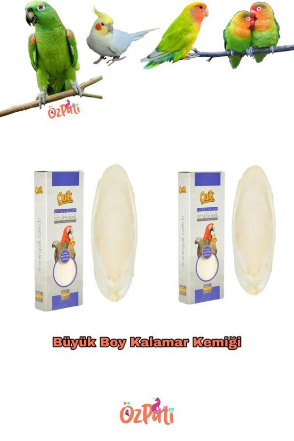 Quik Mürekkep Balığı Kemiği ( Kalamar ) Büyük Boy 2 Adet - Image 1