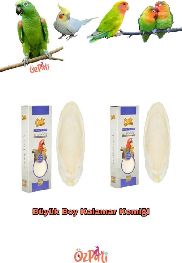 Quik Mürekkep Balığı Kemiği ( Kalamar ) Büyük Boy 2 Adet - Image 1