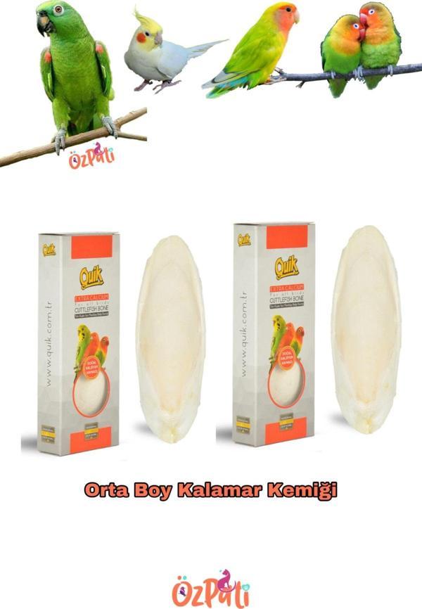 Quik Mürekkep Balığı Kemiği ( Kalamar) Orta Boy 2 Adet - Image 1