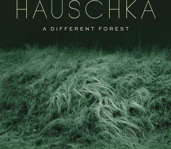 Hauschka A Different Forest Plak - Image 1