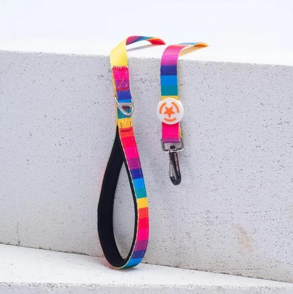 Pawstar Rainbow Köpek Gezdirme Kayışı 120 cm x 2 cm - Image 1